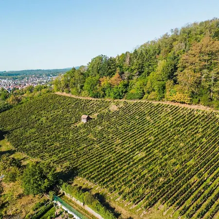 Moderne Au Pied Des Vignes Apartamento Thann